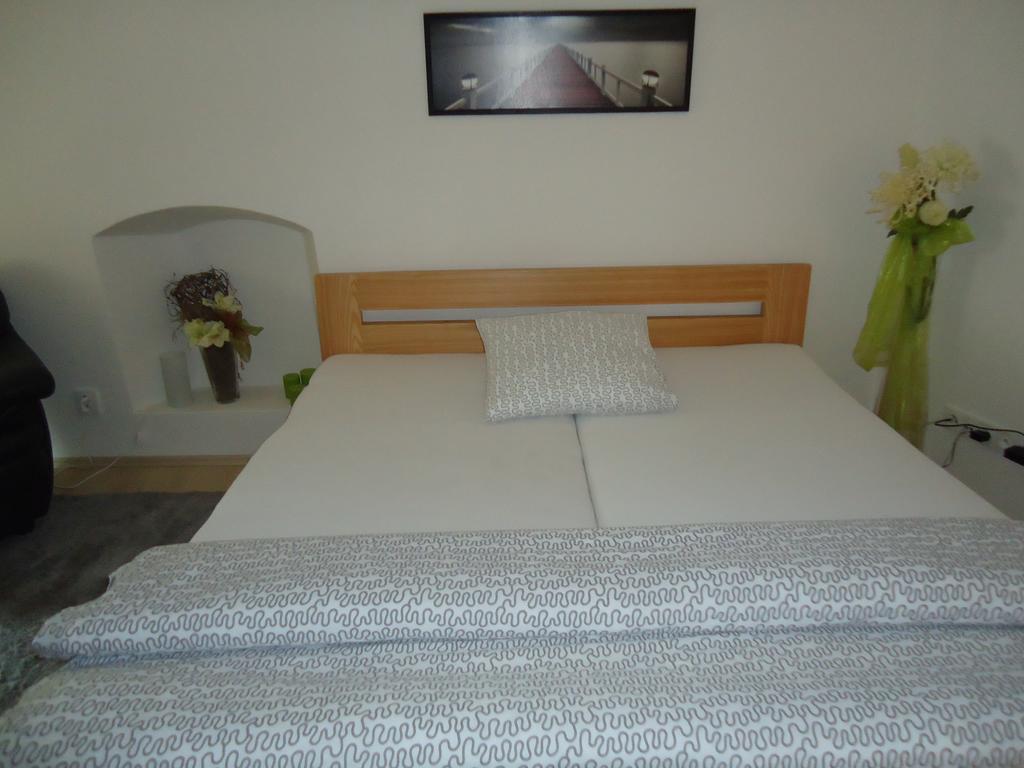Apartment Pod Kotnovem Tábor Cameră foto